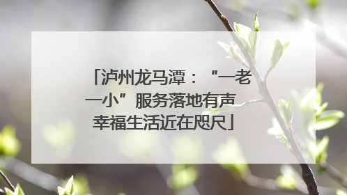 泸州龙马潭：“一老一小”服务落地有声 幸福生活近在咫尺