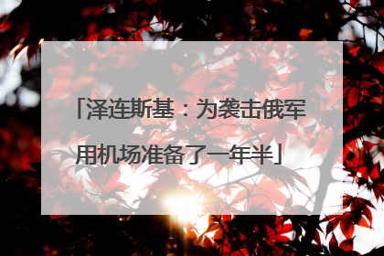 泽连斯基：为袭击俄军用机场准备了一年半
