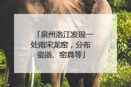 泉州洛江发现一处南宋龙窑，分布瓷器、窑具等