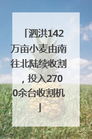 泗洪142万亩小麦由南往北陆续收割，投入2700余台收割机