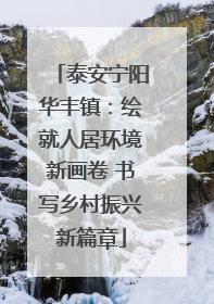 泰安宁阳华丰镇：绘就人居环境新画卷 书写乡村振兴新篇章