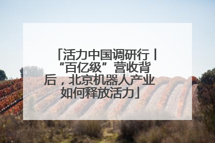 活力中国调研行丨 “百亿级”营收背后，北京机器人产业如何释放活力