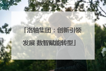 洛轴集团：创新引领发展 数智赋能转型