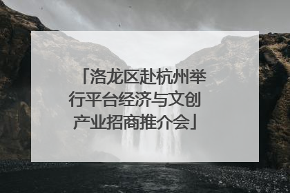 洛龙区赴杭州举行平台经济与文创产业招商推介会
