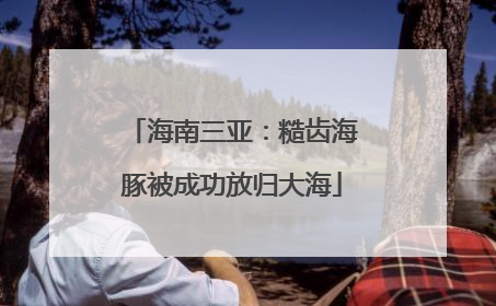 海南三亚：糙齿海豚被成功放归大海