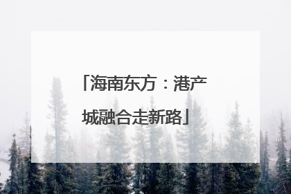 海南东方：港产城融合走新路