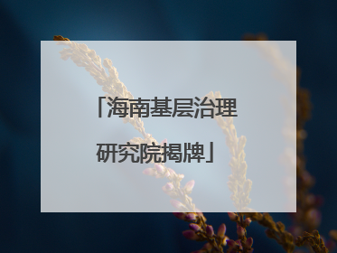 海南基层治理研究院揭牌