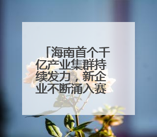 海南首个千亿产业集群持续发力，新企业不断涌入赛道