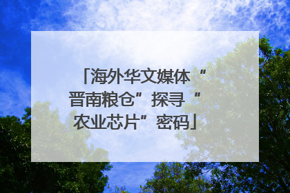 海外华文媒体“晋南粮仓”探寻“农业芯片”密码