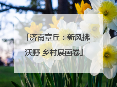 济南章丘：新风拂沃野 乡村展画卷