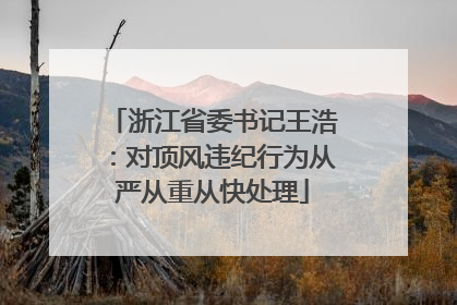 浙江省委书记王浩：对顶风违纪行为从严从重从快处理
