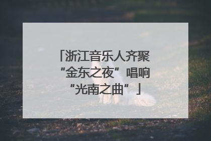 浙江音乐人齐聚“金东之夜”唱响“光南之曲”