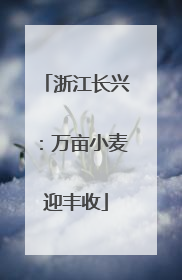 浙江长兴：万亩小麦迎丰收