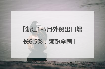 浙江1-5月外贸出口增长6.5%，领跑全国