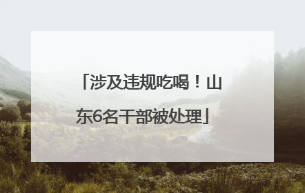 涉及违规吃喝！山东6名干部被处理
