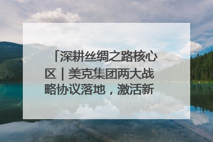 深耕丝绸之路核心区｜美克集团两大战略协议落地，激活新疆开放新动能