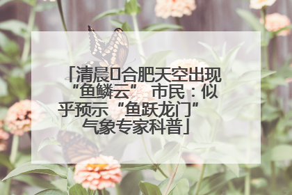 清晨﻿合肥天空出现“鱼鳞云” 市民：似乎预示“鱼跃龙门” 气象专家科普