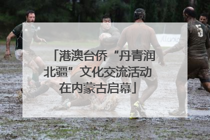 港澳台侨“丹青润北疆”文化交流活动在内蒙古启幕