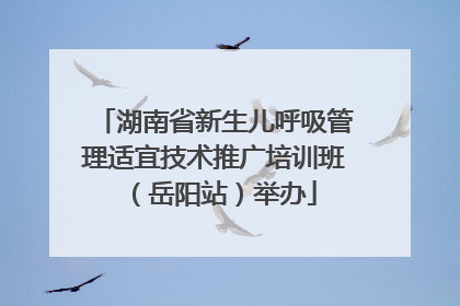 湖南省新生儿呼吸管理适宜技术推广培训班（岳阳站）举办