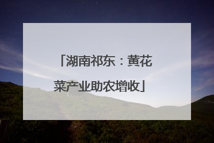 湖南祁东：黄花菜产业助农增收