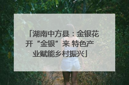 湖南中方县：金银花开“金银”来 特色产业赋能乡村振兴