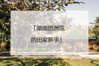 湖南团洲垸的田家新事