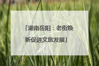 湖南岳阳：老街焕新促进文旅发展