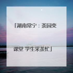 湖南常宁：茶园变课堂 学生采茶忙