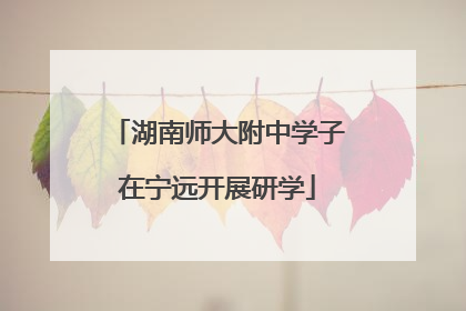 湖南师大附中学子在宁远开展研学