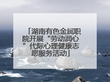 湖南有色金属职院开展“劳动润心”代际心理健康志愿服务活动