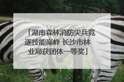 湖南森林消防尖兵竞逐技能巅峰 长沙市林业局获团体一等奖