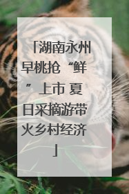 湖南永州早桃抢“鲜”上市 夏日采摘游带火乡村经济