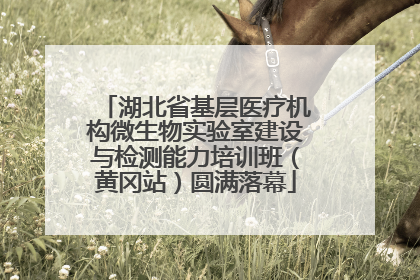 湖北省基层医疗机构微生物实验室建设与检测能力培训班（黄冈站）圆满落幕