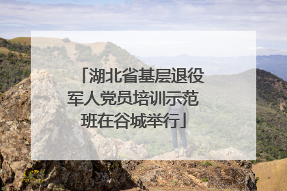 湖北省基层退役军人党员培训示范班在谷城举行