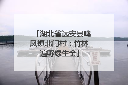 湖北省远安县鸣凤镇北门村：竹林遍野绿生金
