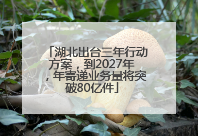 湖北出台三年行动方案，到2027年，年寄递业务量将突破80亿件