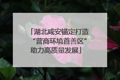 湖北咸安锚定打造“营商环境首善区”助力高质量发展