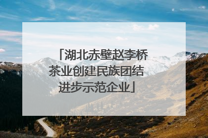 湖北赤壁赵李桥茶业创建民族团结进步示范企业