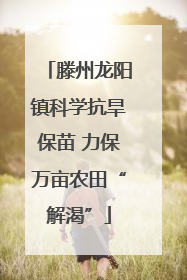 滕州龙阳镇科学抗旱保苗 力保万亩农田“解渴”