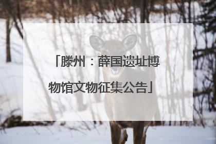 滕州：薛国遗址博物馆文物征集公告