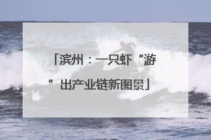 滨州：一只虾“游”出产业链新图景