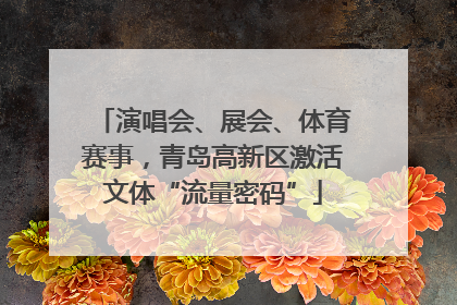 演唱会、展会、体育赛事，青岛高新区激活文体“流量密码”