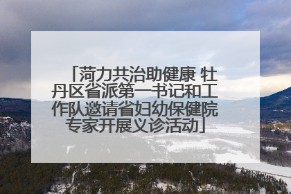 菏力共治助健康 牡丹区省派第一书记和工作队邀请省妇幼保健院专家开展义诊活动