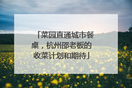 菜园直通城市餐桌，杭州邵老板的收菜计划和期待