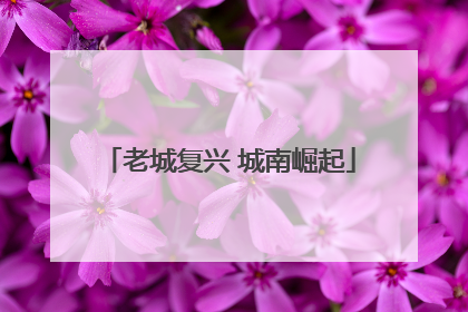 老城复兴 城南崛起