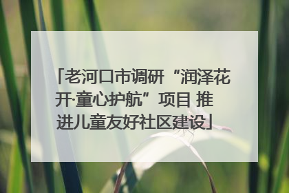 老河口市调研“润泽花开·童心护航”项目 推进儿童友好社区建设