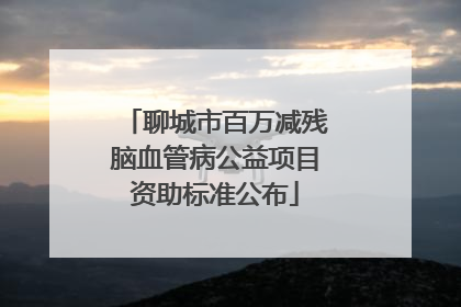 聊城市百万减残脑血管病公益项目资助标准公布