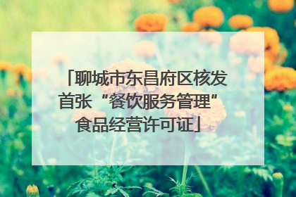 聊城市东昌府区核发首张“餐饮服务管理”食品经营许可证