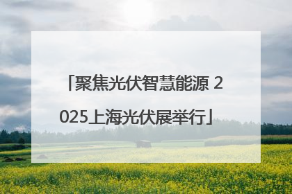 聚焦光伏智慧能源 2025上海光伏展举行