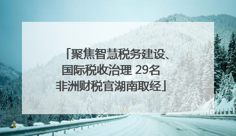 聚焦智慧税务建设、国际税收治理 29名非洲财税官湖南取经